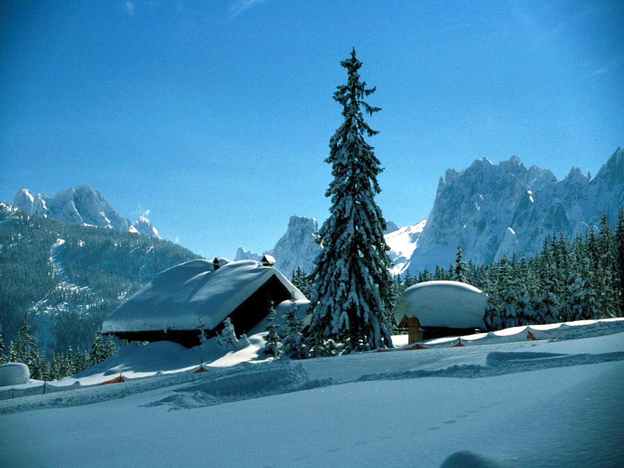 Ferienwohnung Laserer Gosau Buitenkant foto